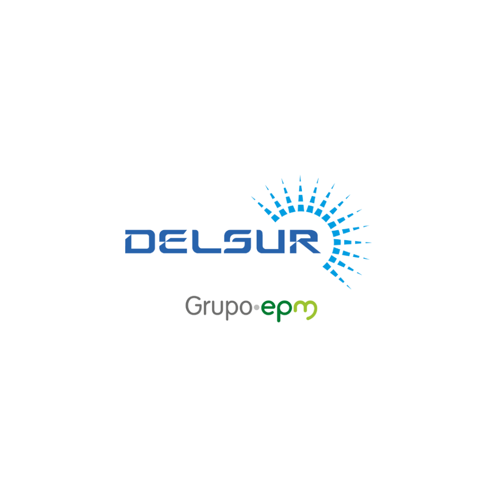 LOGO DEL SUR